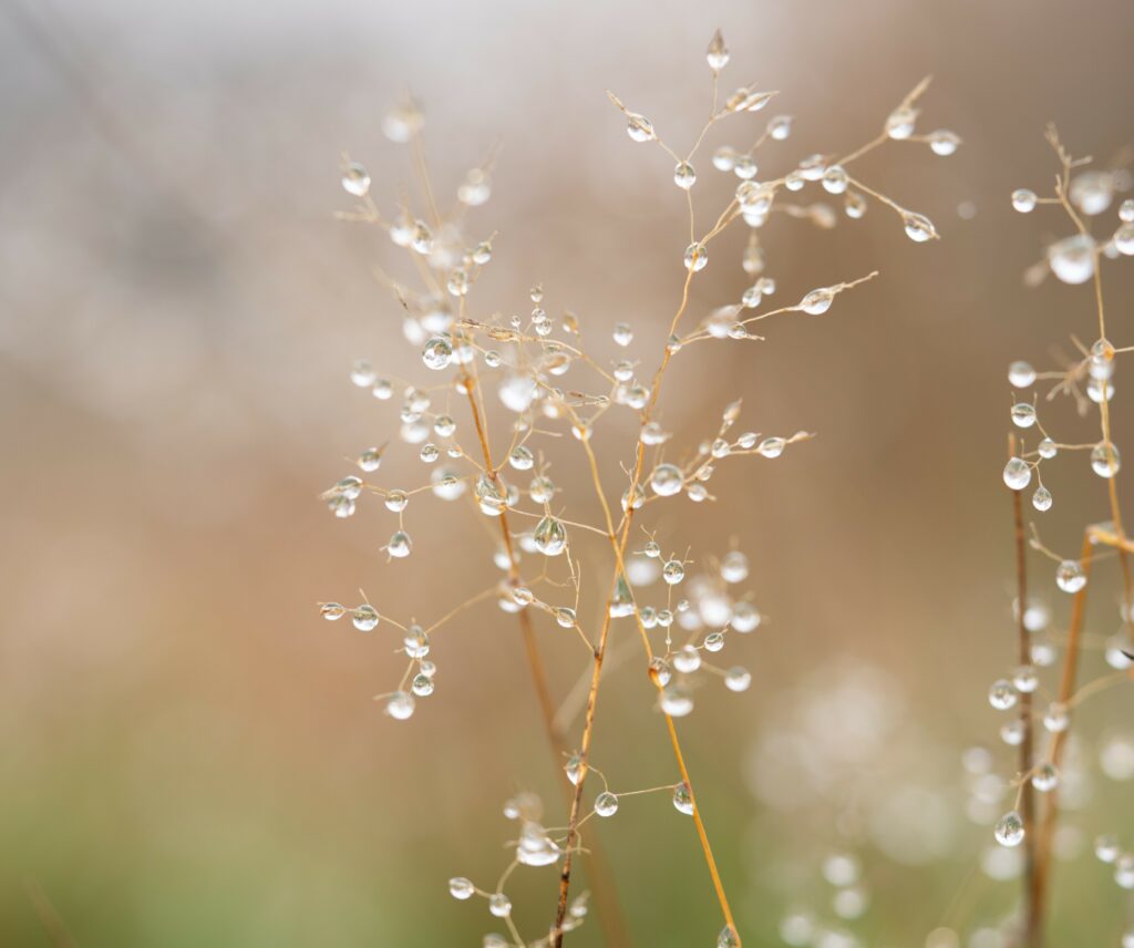 1charlie-harris-ljD1isug35k-unsplash