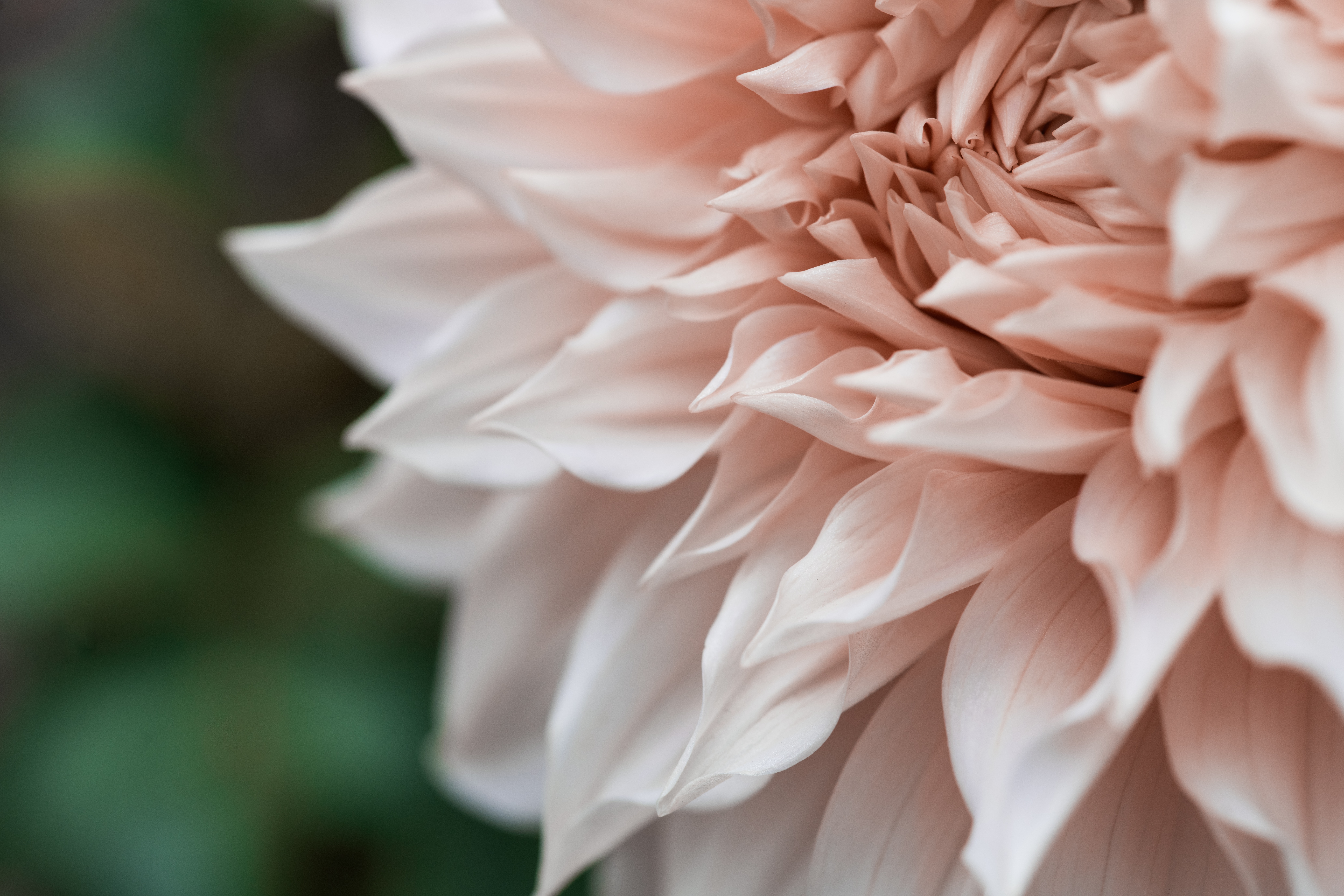 tasha-marie-NCqZSPWzVvw-unsplash