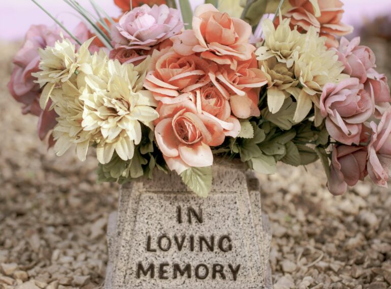 sandy-millar-cQ-66Evaf5g-unsplash